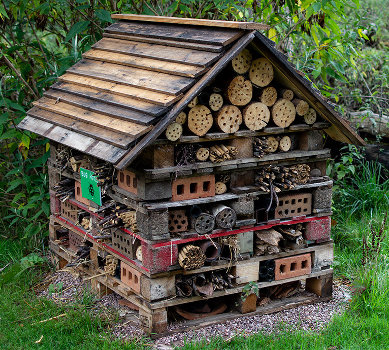 Photo of a bug hotel