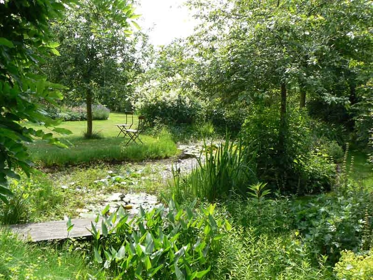Creating A Wildlife Friendly Garden Rated People Blog