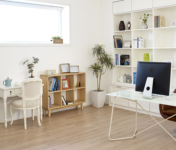 bookshelf-in-home