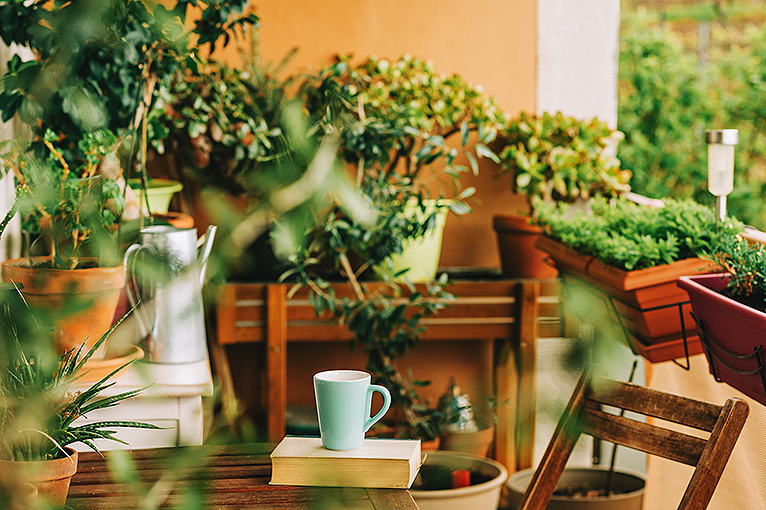 Close-up shot of sun-drenched balcony with an array of green potted plants. 