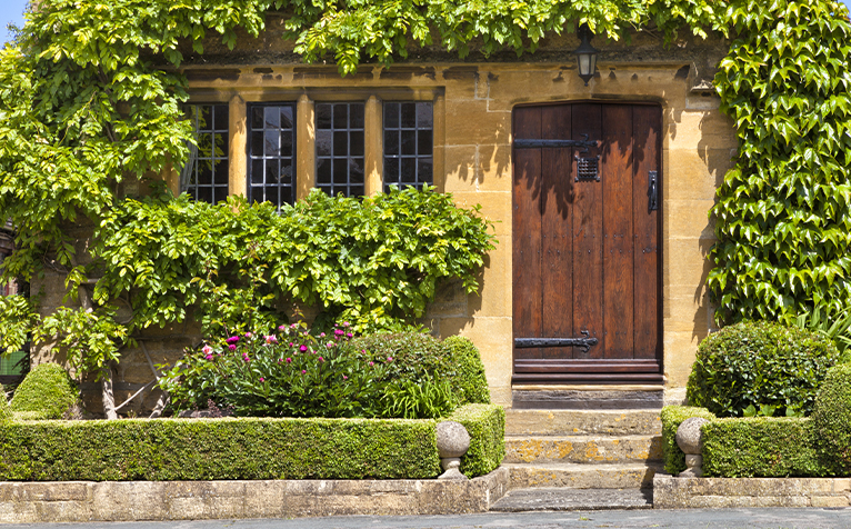 Picture of a frant garden with plants and hedges 