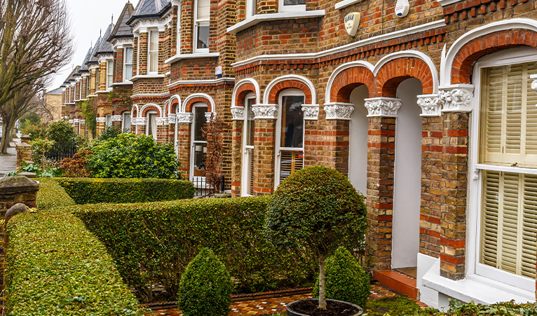 Picture of a garden with shapely hedges