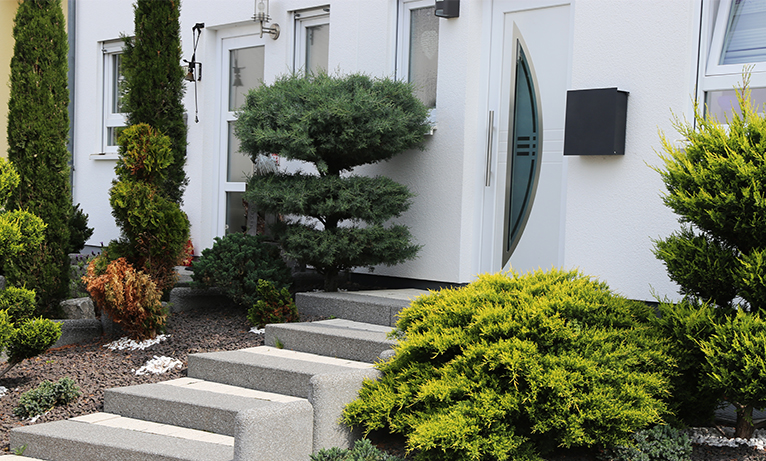 Picture of a front garden with lots of greenery