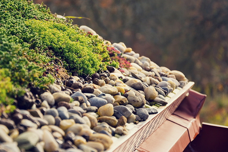 Close up of mossy green roof