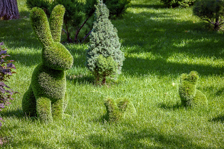 Bunny shaped hedge sculpture