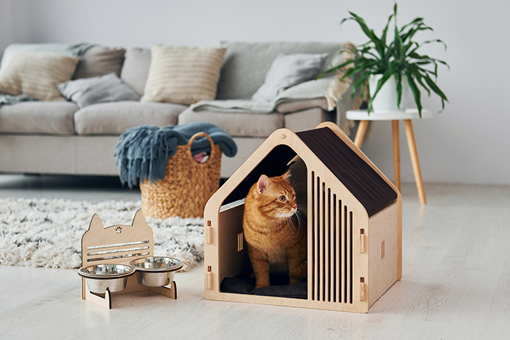 Picture of a cat in a cat booth in a living room