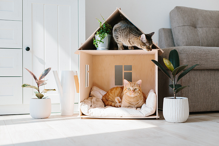 Picture of two cats in a small house shaped cat bed 