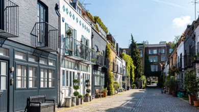 Picture of a mews with rows of houses