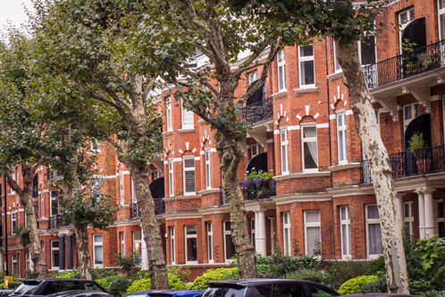 Picture of a row of buildings with trees in front