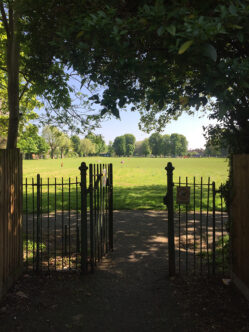 Picture of a metal railing gate at the entrance to park