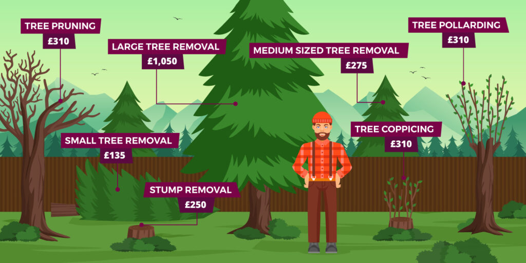 Illustration of a tree surgeon surrounded by different trees with labels listing prices for tree surgeon jobs